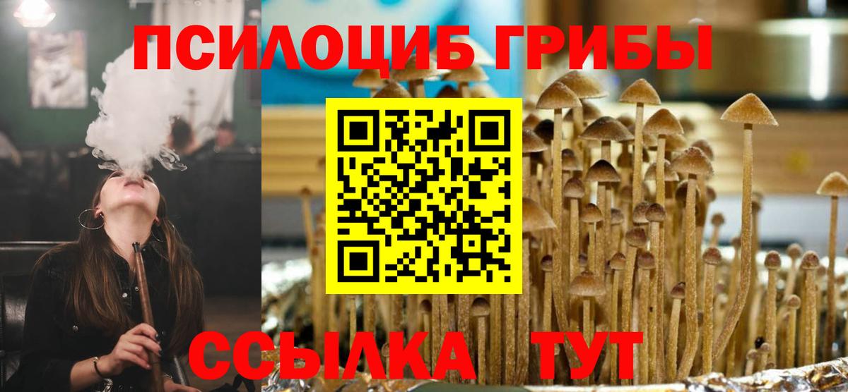 Псилоцибиновые грибы Magic Shrooms  Вход с VPN  Каменск-Шахтинский  Галлюциногенные грибы Magic Shrooms 